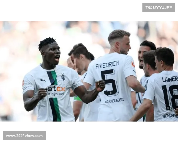 霍芬海姆前锋克拉马里奇戴帽,主场5-1大胜门兴 霍芬海姆前锋克拉马里奇戴帽,主场5-1大胜门兴